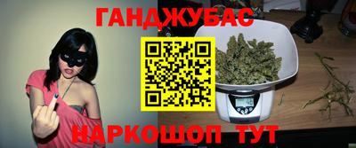 спиды Обь