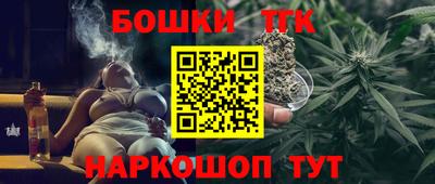 спиды Обь