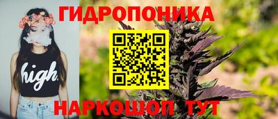 apvp Обнинск