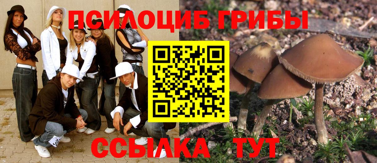 Галлюциногенные грибы мухоморы Иркутск
