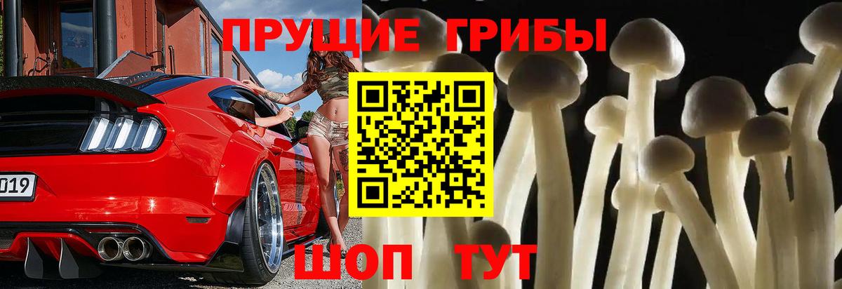 Псилоцибиновые грибы Cubensis  Вход с VPN  Иркутск 